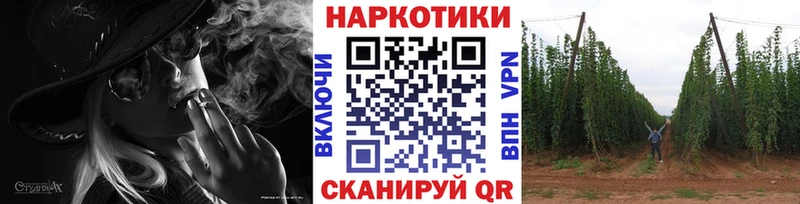 Псилоцибиновые грибы Гороховец