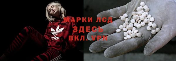прущие грибы Армянск