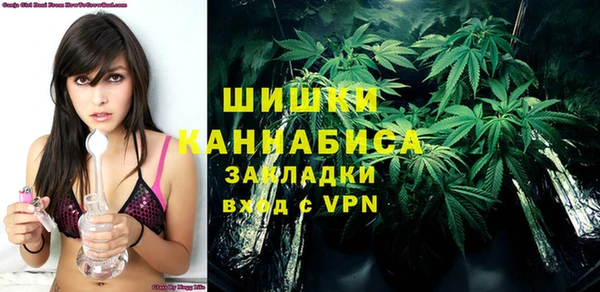 стафф Аркадак