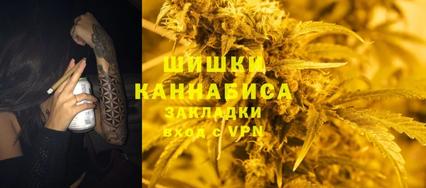 прущие грибы Армянск