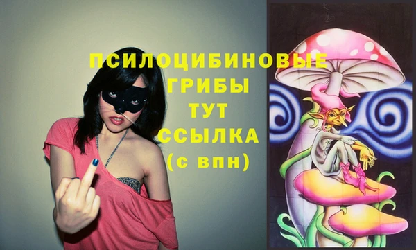 стафф Аркадак