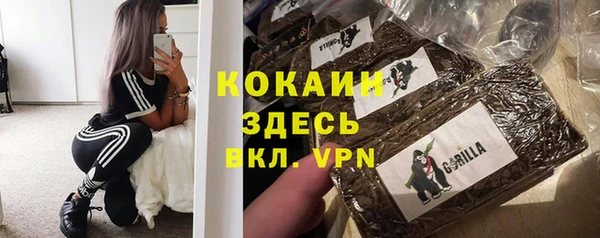 стафф Аркадак