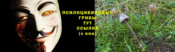 jwh Арсеньев