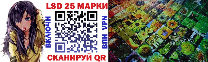 где найти   Гороховец  Марки N-bome 1500мкг 