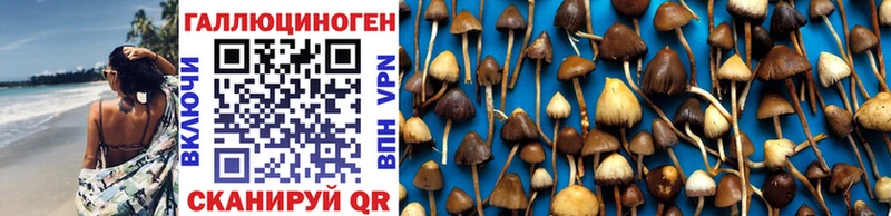 Галлюциногенные грибы мухоморы  Гороховец 